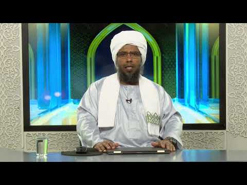 تفسير و إ ن ج اه د اك ع ل ى أ ن ت ش ر ك ب ي م ا ل ي س ل ك ب ه ع ل م ف لا ت ط ع ه م ا