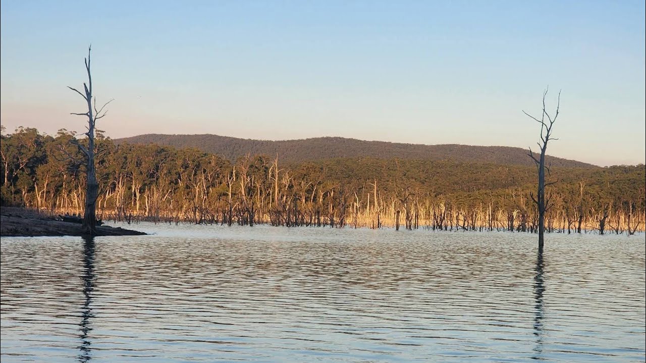 Three species at Blue Rock