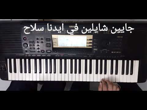 جايين شايلين في ايدنا سلاح بيانو كوردات  