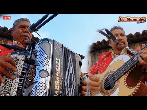 LA LLAGA PODRIDA