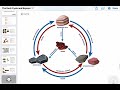 GED Earth & Space Science Lesson 6: The Rock Cycle and Beyond