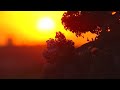 Good Question: How Much Daylight Are We Losing Each Day?