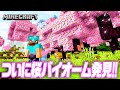【マイクラ Part168】マイクラの桜がキレイすぎ!!【がっちゃん】マインクラフト