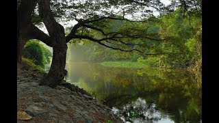 Relaxing Piano Music: Relaxing Music, Romantic Music, Beautiful Music, Soothing Sleep, love music screenshot 4