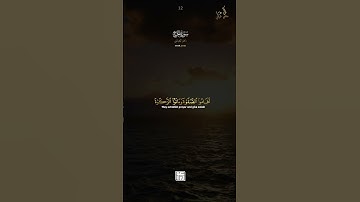 ولينصرن الله من ينصره | ماهر المعيقلي || سورة الحج