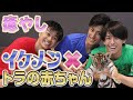 【癒し】イケメンが生まれたばかりの赤ちゃんトラと戯れてみた