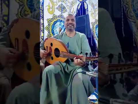 ياسررشاد قوص الجمالية دور المناقرة 15 11 2023