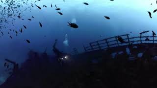 VR360 Scorpio Madeira Underwater