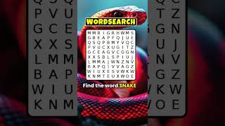 Word Search 99% Fail | Can you find the SNAKE 🐍 #shorts