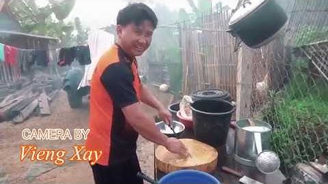 Mus Saib Kwv Tij Tua Qaib Noj