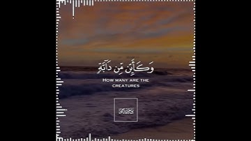 تلاوة هادئة تريح الأعصاب 😴🎧 القارئ: عبدالرحمن مسعد  سورة: العنكبوت 💙❤