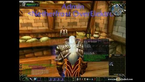 World of Warcraft Private Server Dupe Hack