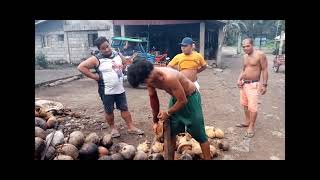 MASIPAG NA BINATA