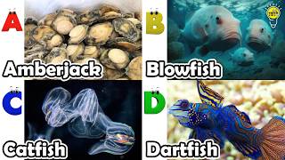 Learn Ocean Animal Names | ABC Sea Animals song | Most Popular Sea Creatures | Alphabets Kids Song