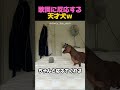 歌詞理解してる説ｗ