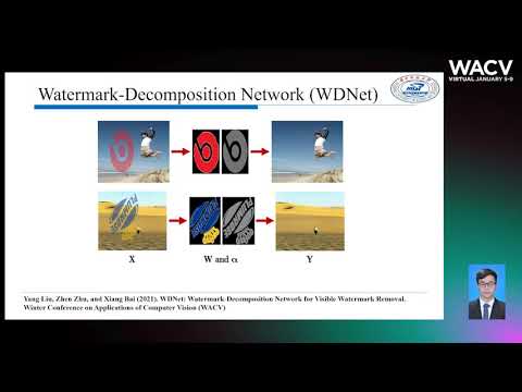 535 - WDNet: Watermark-Decomposition Network for Visible Watermark Removal
