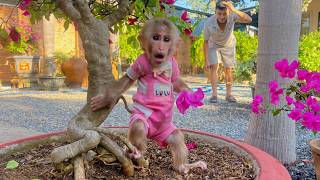 Lulu’s Beautiful Garden Walk Before an Emotional Goodbye