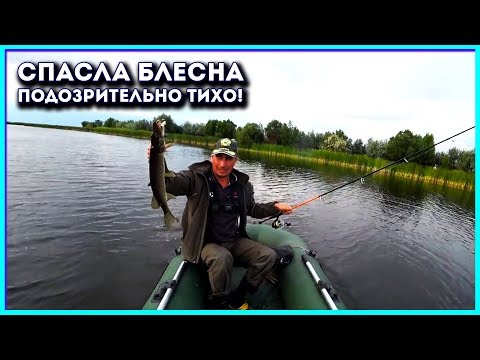 Бейне: Троллинг моторлары балықты қорқыта ма?