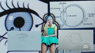My Performance Task/Science 3/ShortVideo/drawing and labeling the Different Parts of The Eyes/
