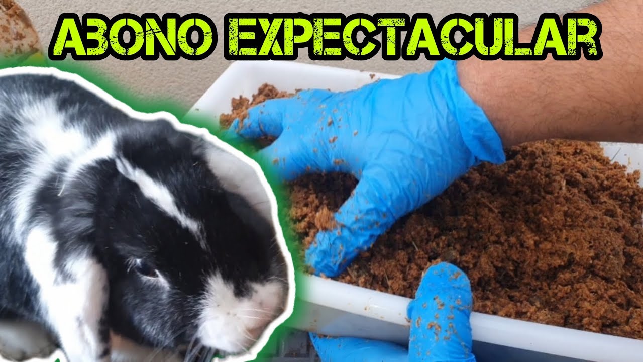 ESTIÉRCOL de CONEJO Casero 🐇💩 | Cómo Hacer ABONO ORGÁNICO Paso a Paso