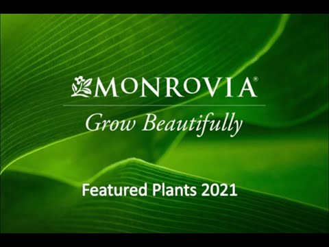 Monrovia Featured Plants 2021