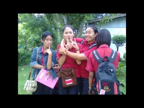 เพลงคณิตศาสตร์ Log