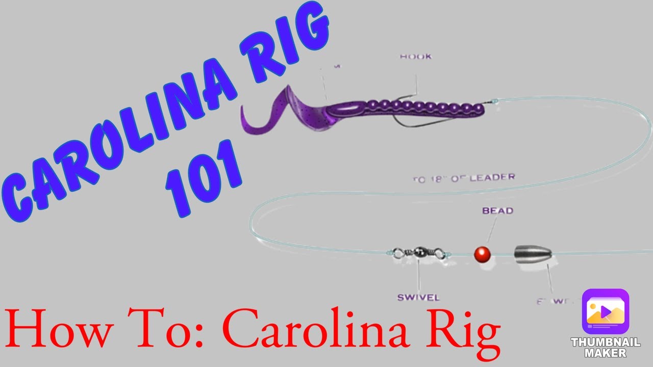 Carolina Rig 101 - How To Use The Carolina Rig 