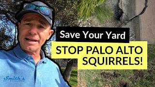 Famous Palo Alto Ground Squirrel Removal — Why Your Fence Won't Stop Them (And What Will) Profile