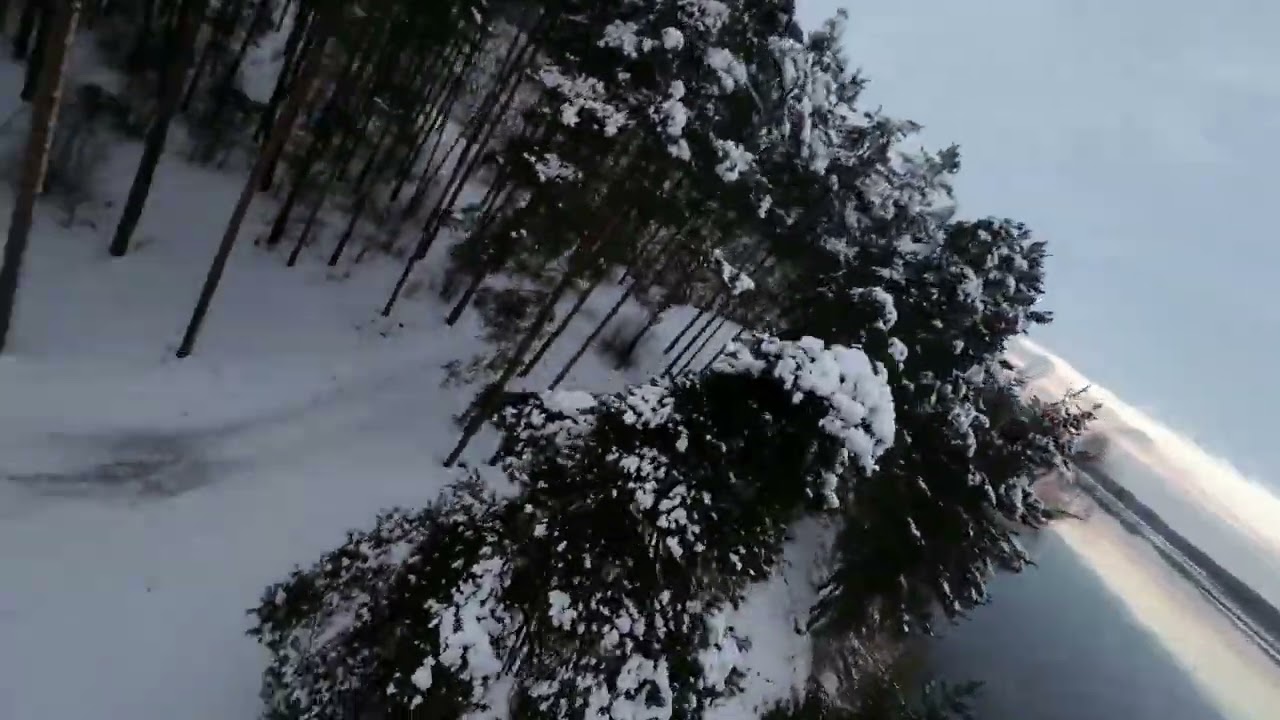 28 ноября 2024 г.