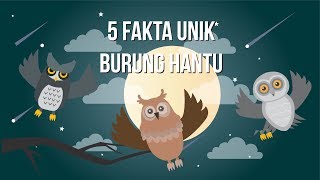 5 Fakta Unik Burung Hantu