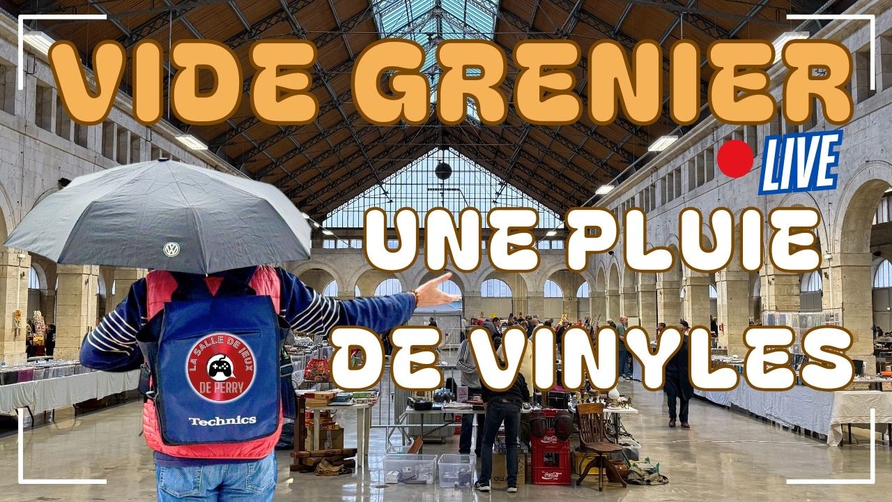 🎸 VIDE GRENIER MUSICAL EN LIVE - Une pluie de VINYLES et CASSETTES Rock et Funk en brocante 🎷