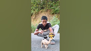 RC remote control Camel unboxing 🐪 🔥