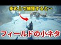 【歴代モンハン】あまり知られていないフィールドの小ネタ15選