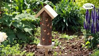 Wildlife World mariehøne hotel video