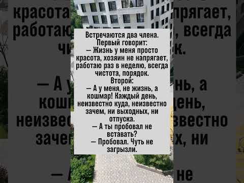 Когда работа — это кошмар! #анекдот #юмор