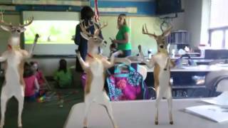 Fx guru raindeer dance