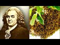 Бернард де Мандевиль - Басня о пчёлах. «Ропщущий улей, или Мошенники, ставшие честными»