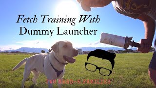 Duck Dog Fetch Training With Dummy Launcher