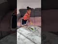 La curiosité 🤣 / Curiosity is not good #babymatifa #funny #tiktok #humor #matifa #shorts #comedy