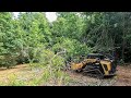 Mulching up Fallen Monster White Oak Tree