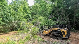 Mulching up Fallen Monster White Oak Tree