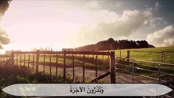 سورة القيامه للشيخ أحمد النفيس تلاوه هادئه