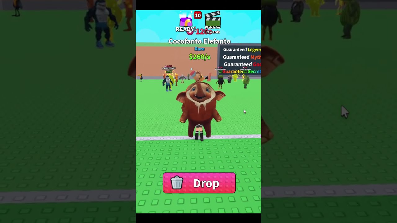 JeraiCathy Live Stream