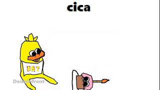 Cica