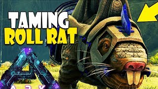 TIKUS PURBA BISA MUTER-MUTER 😂😂😂 - ARK Aberration Indonesia #3.mp3 TIKUS PURBA BISA MUTER-MUTER 😂😂😂 - ARK Aberration Indonesia #3.mp3