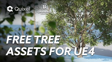 Free Photoscanned PBR Tree Assets for Unreal Engine Are Here! | Megascans Trees Early Access Preview