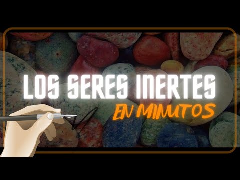 Video: ¿Qué significa cuando un elemento es inerte?