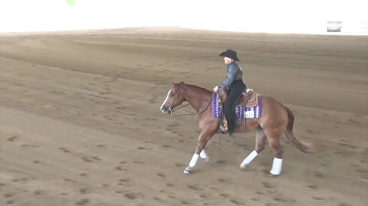 180524 Novice Lorri Peterson on Wimpys Stepped Up