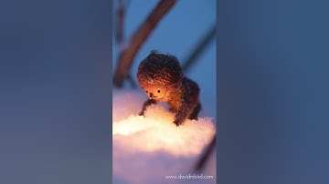 Becorns | My favorite moments from 2022