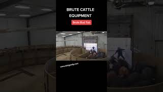 Brute Bud Tub cattle working facility.